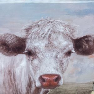 Meet your Posher, Carlos